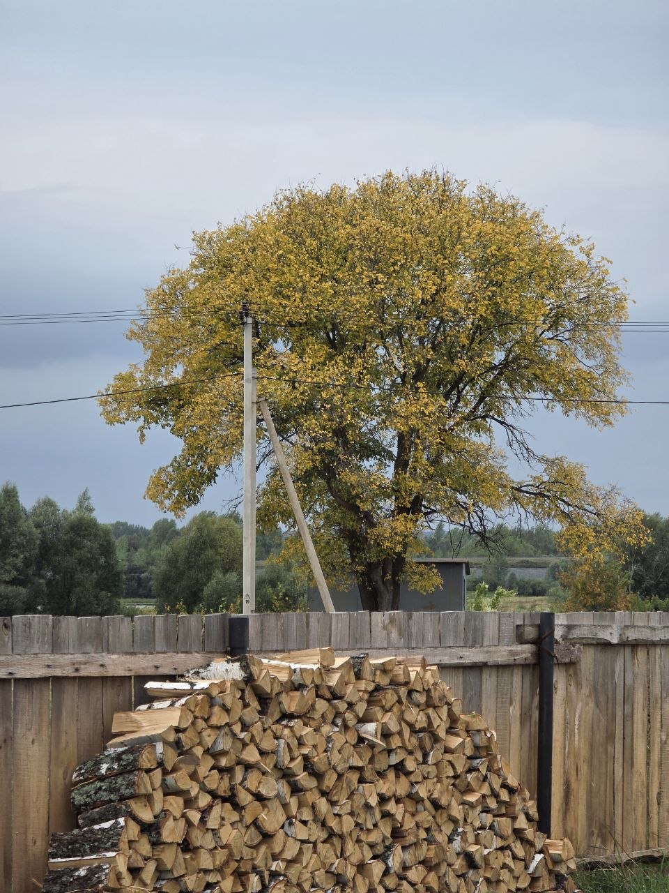 У реки